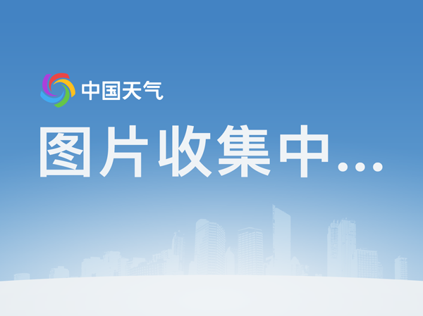 九游体育直播